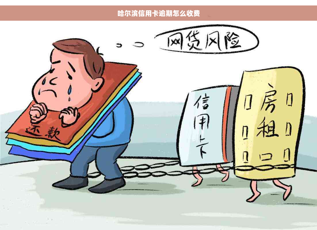 哈尔滨信用卡逾期怎么收费