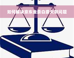 如何解决京东金条白条欠款问题