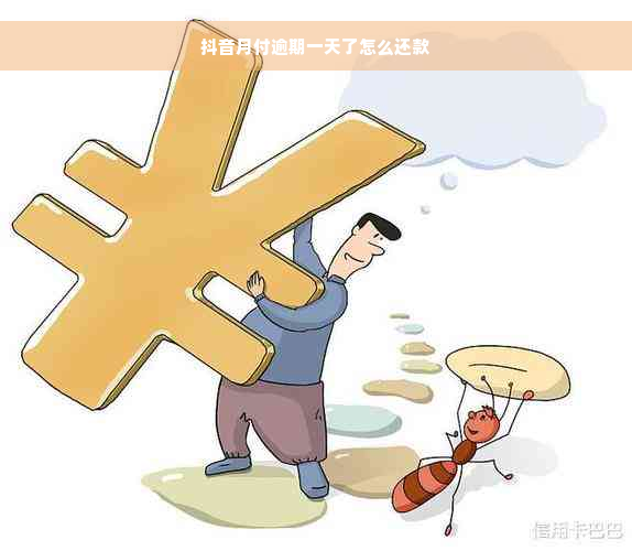 抖音月付逾期一天了怎么还款