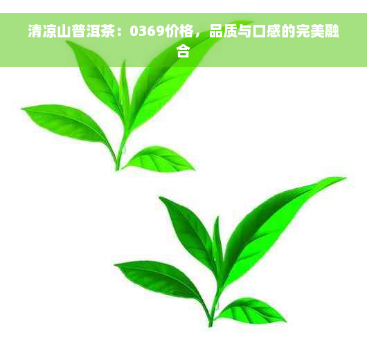 清凉山普洱茶：0369价格，品质与口感的完美融合