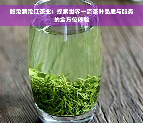 临沧澜沧江茶业：探索世界一流茶叶品质与服务的全方位体验