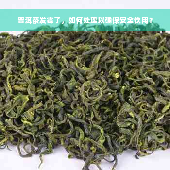 普洱茶发霉了，如何处理以确保安全饮用？