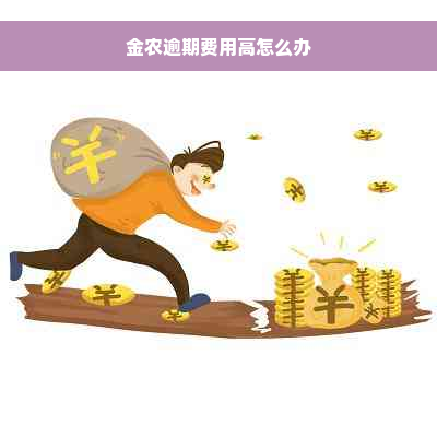 金农逾期费用高怎么办