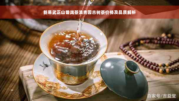 新易武正山普洱茶滇青园古树茶价格及品质解析