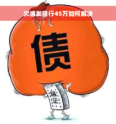 欠浦发银行45万如何解决