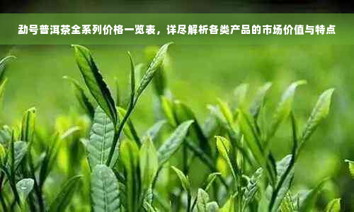 勐号普洱茶全系列价格一览表，详尽解析各类产品的市场价值与特点