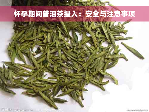 怀孕期间普洱茶摄入：安全与注意事项