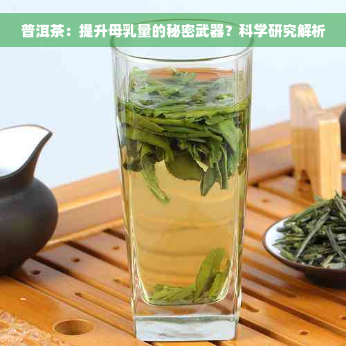 普洱茶：提升母乳量的秘密武器？科学研究解析