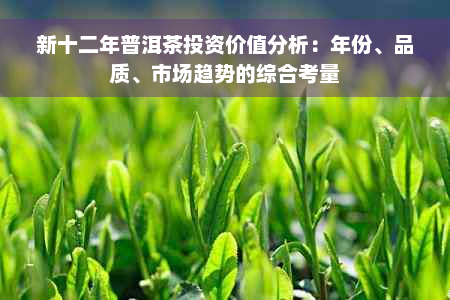 新十二年普洱茶投资价值分析：年份、品质、市场趋势的综合考量