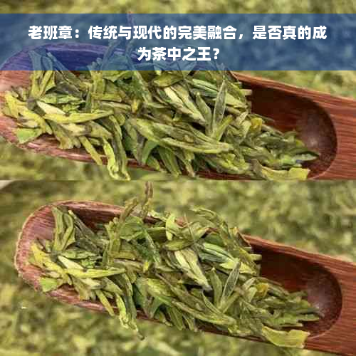 老班章：传统与现代的完美融合，是否真的成为茶中之王？