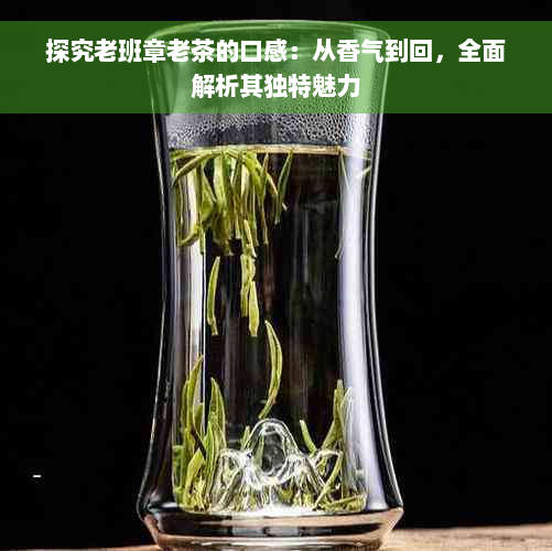 探究老班章老茶的口感：从香气到回，全面解析其独特魅力