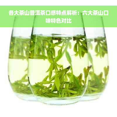 各大茶山普洱茶口感特点解析：六大茶山口味特色对比