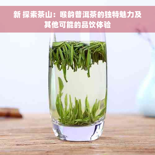 新 探索茶山：喉韵普洱茶的独特魅力及其他可能的品饮体验