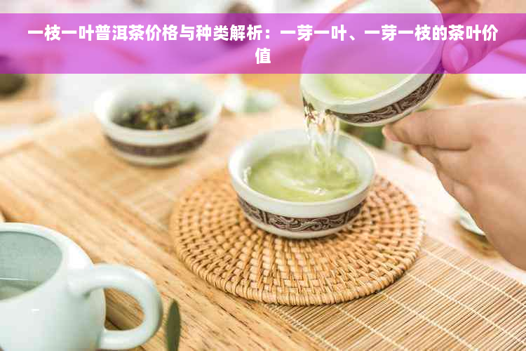 一枝一叶普洱茶价格与种类解析：一芽一叶、一芽一枝的茶叶价值