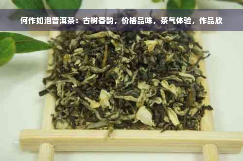 何作如泡普洱茶：古树香韵，价格品味，茶气体验，作品欣