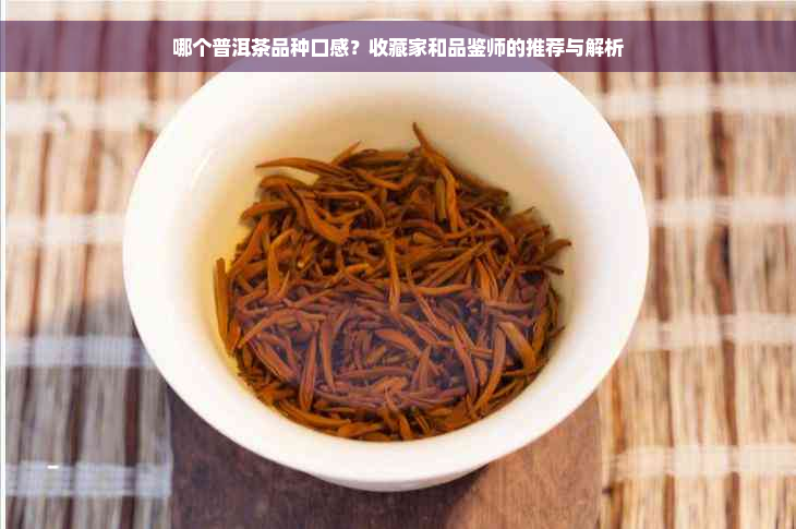 哪个普洱茶品种口感？收藏家和品鉴师的推荐与解析