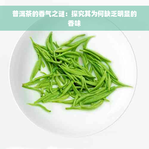 普洱茶的香气之谜：探究其为何缺乏明显的香味