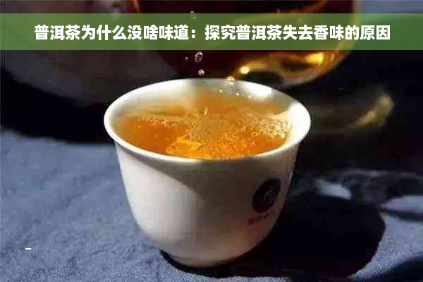 普洱茶为什么没啥味道：探究普洱茶失去香味的原因