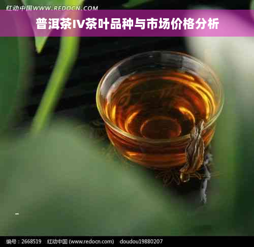 普洱茶IV茶叶品种与市场价格分析