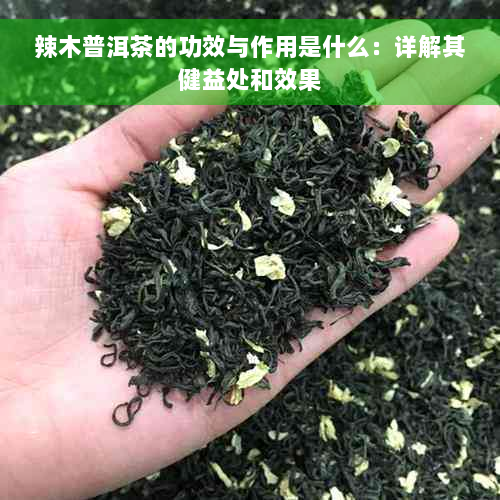 辣木普洱茶的功效与作用是什么：详解其健益处和效果