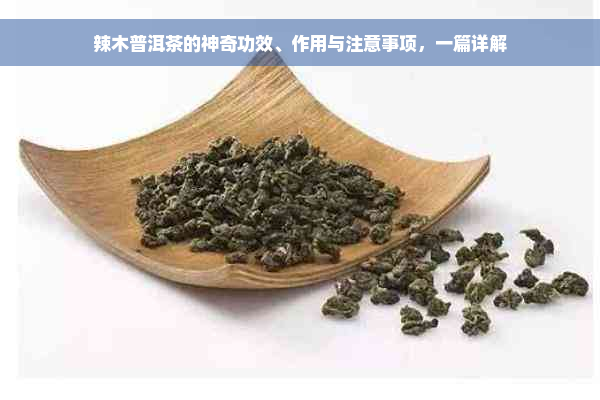 辣木普洱茶的神奇功效、作用与注意事项，一篇详解