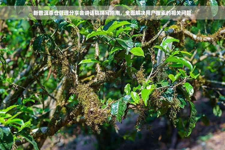 新普洱茶仓管理分享会讲话稿撰写指南，全面解决用户搜索的相关问题