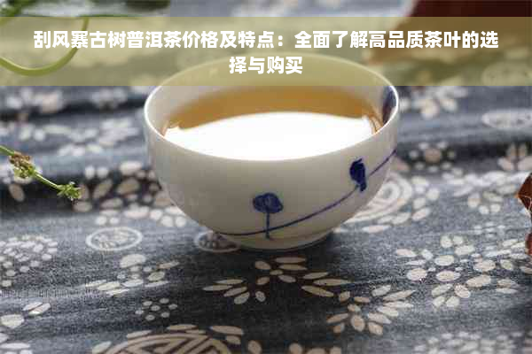 刮风寨古树普洱茶价格及特点：全面了解高品质茶叶的选择与购买