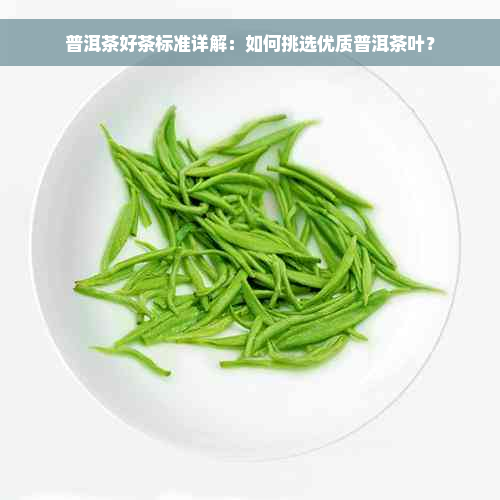 普洱茶好茶标准详解：如何挑选优质普洱茶叶？