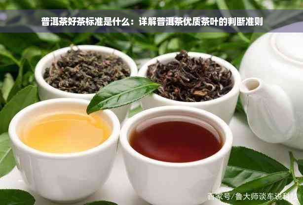 普洱茶好茶标准是什么：详解普洱茶优质茶叶的判断准则