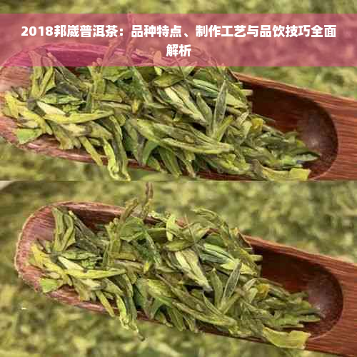 2018邦崴普洱茶：品种特点、制作工艺与品饮技巧全面解析