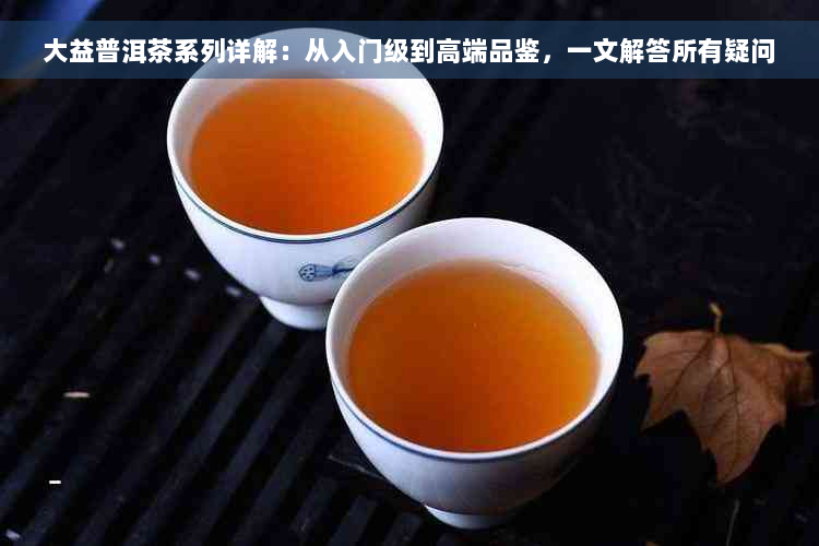 大益普洱茶系列详解：从入门级到高端品鉴，一文解答所有疑问