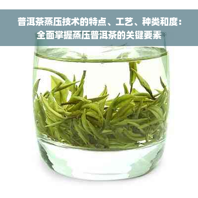 普洱茶蒸压技术的特点、工艺、种类和度：全面掌握蒸压普洱茶的关键要素