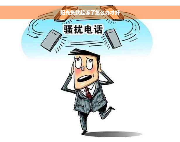 阳光贷款起诉了怎么办才好