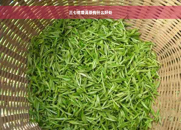 三七花普洱茶有什么好处