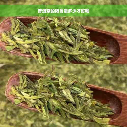 普洱茶的锗含量多少才好喝