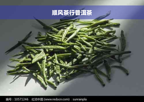 顺风茶行普洱茶