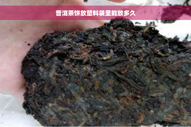 普洱茶饼放塑料袋里能放多久