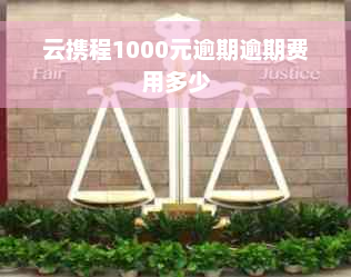 云携程1000元逾期逾期费用多少