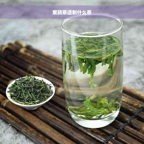 紫鹃茶适制什么茶