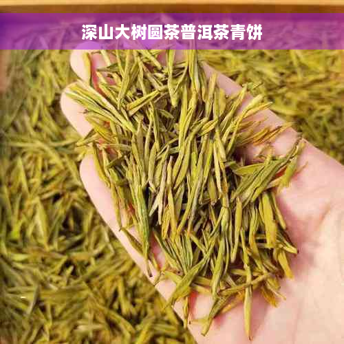 深山大树圆茶普洱茶青饼