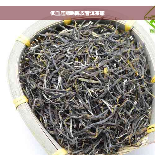 低血压能喝陈皮普洱茶嘛