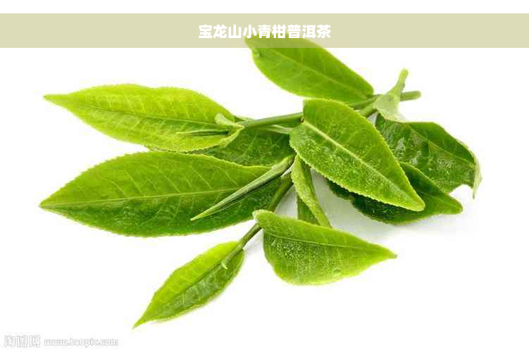 宝龙山小青柑普洱茶