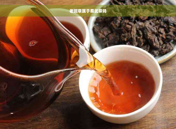 老班章属于易武茶吗