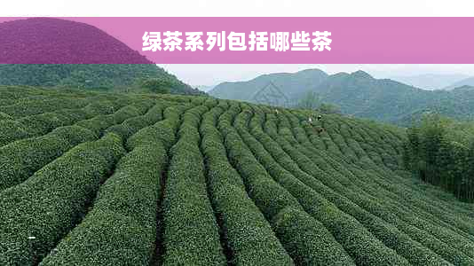 绿茶系列包括哪些茶