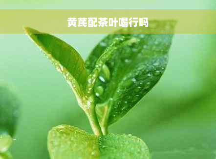 黄芪配茶叶喝行吗