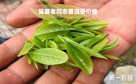 昊展老同志普洱茶价格