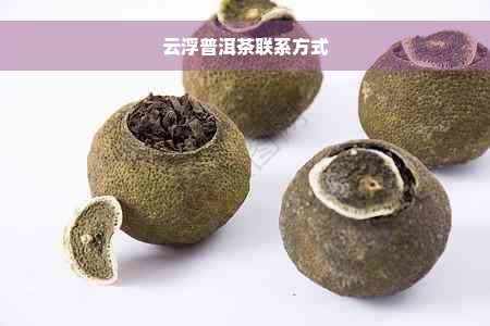 云浮普洱茶联系方式