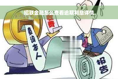 招联金融怎么查看逾期利息详情