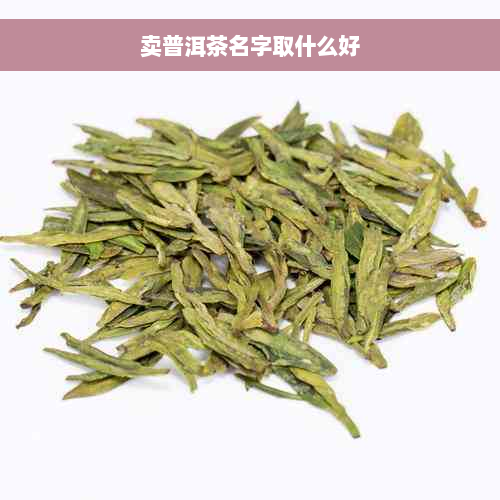 卖普洱茶名字取什么好