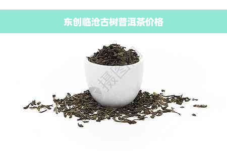 东创临沧古树普洱茶价格